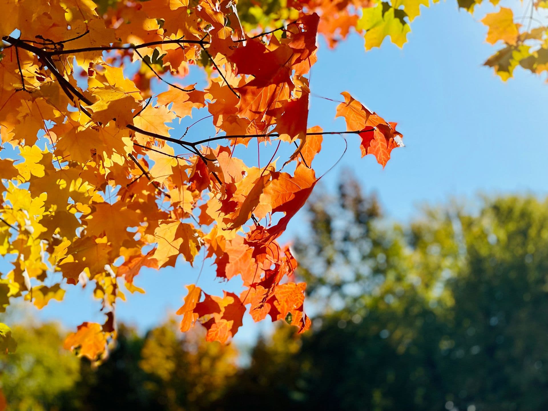 fall weather
