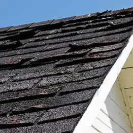 Shingle Damage