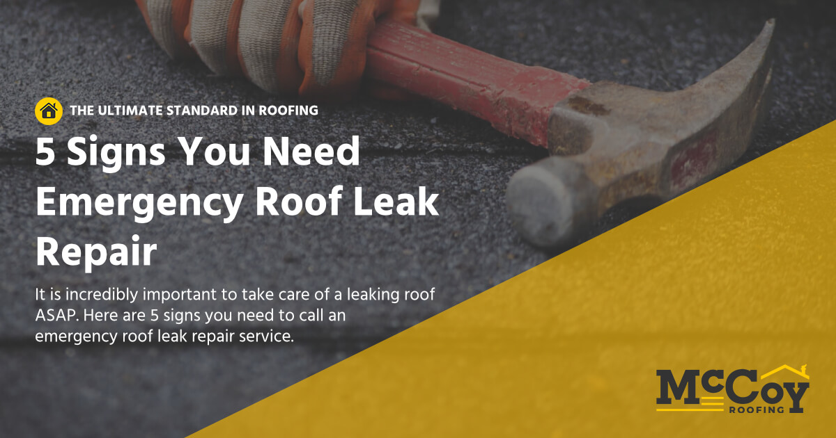 McCoy Roofing Contractors - 5 signs you need emergency roof leak repair