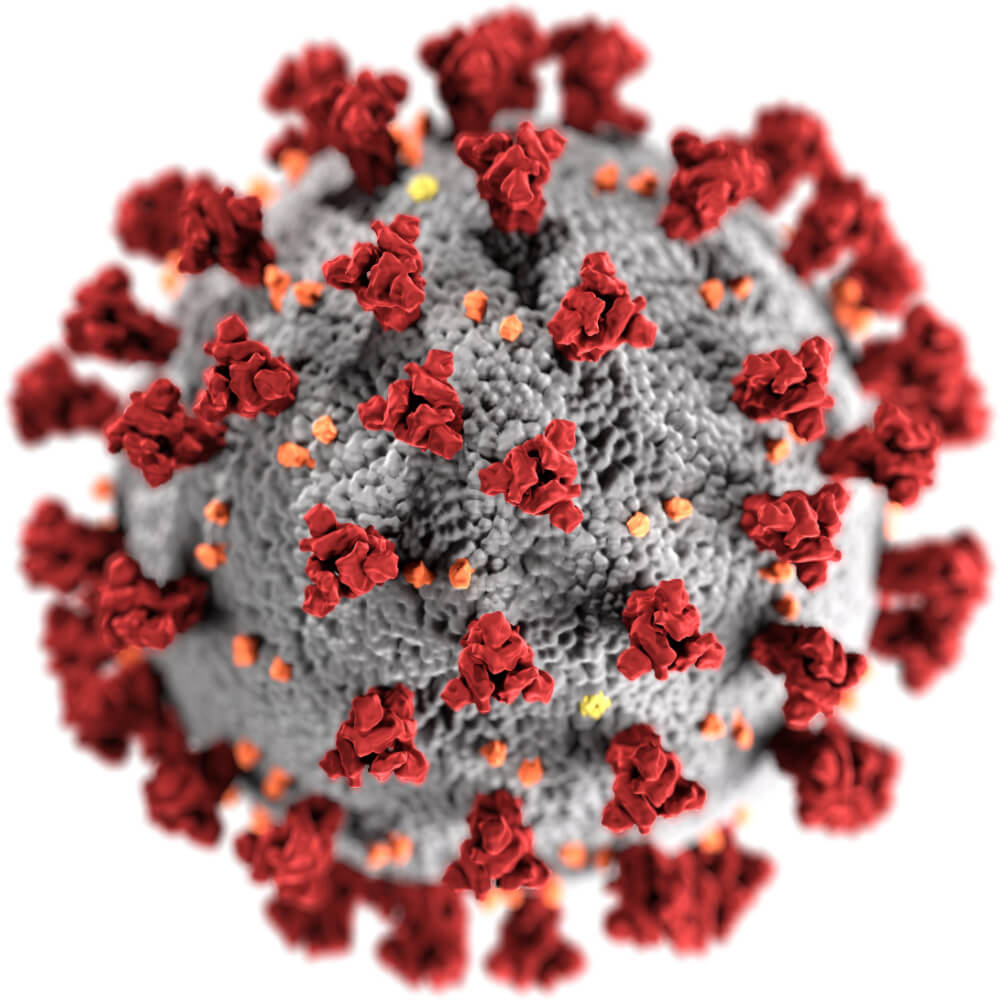 Picture of the COVID-19 virus.