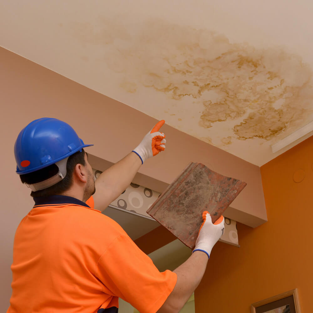 Picture of a McCoy Roofing  project manager analyzing a possible cause of roof leak in a house. 